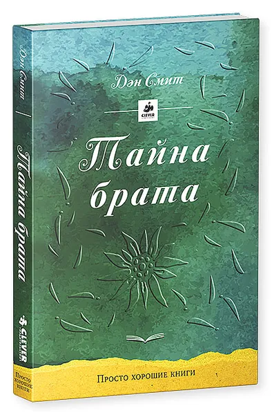 Обложка книги Тайна брата, Дэн Смит