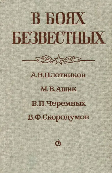 Обложка книги В боях безвестных, А. Н. Плотников, М. В. Ашик, В. П. Черемных, В. Ф. Скородумов