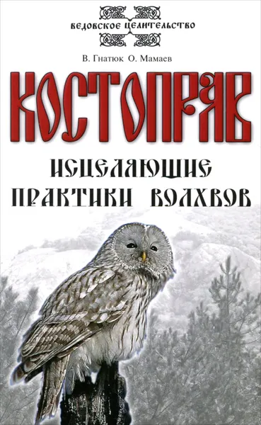 Обложка книги Костоправ. Исцеляющие практики волхвов, В. Гнатюк, О. Мамаев