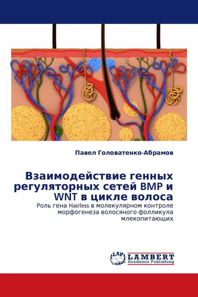 Обложка книги Взаимодействие генных регуляторных сетей BMP и WNT в цикле волоса, Павел Головатенко-Абрамов