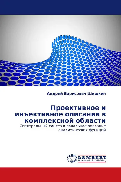 Обложка книги Проективное и инъективное описания в комплексной области, Андрей Борисович Шишкин