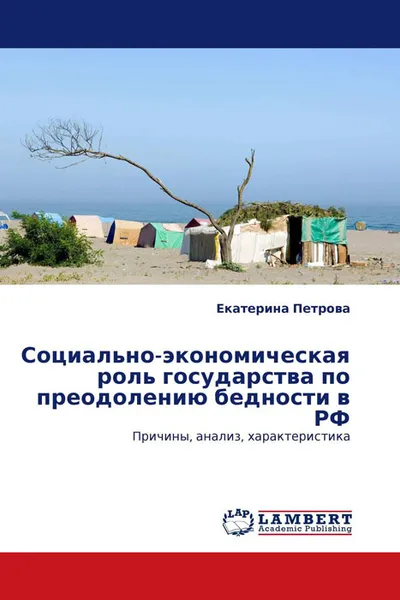 Обложка книги Социально-экономическая роль государства по преодолению бедности в РФ, Екатерина Петрова