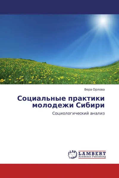 Обложка книги Социальные практики молодежи Сибири, Вера Орлова