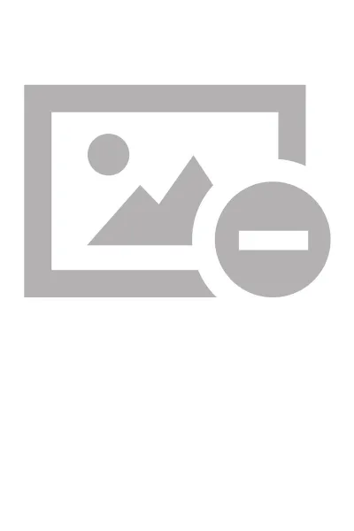 Обложка книги Формирование электронного архива кадастровых документов, Сергей Григорьев