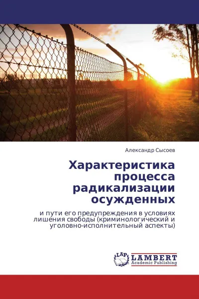 Обложка книги Характеристика процесса радикализации осужденных, Александр Сысоев