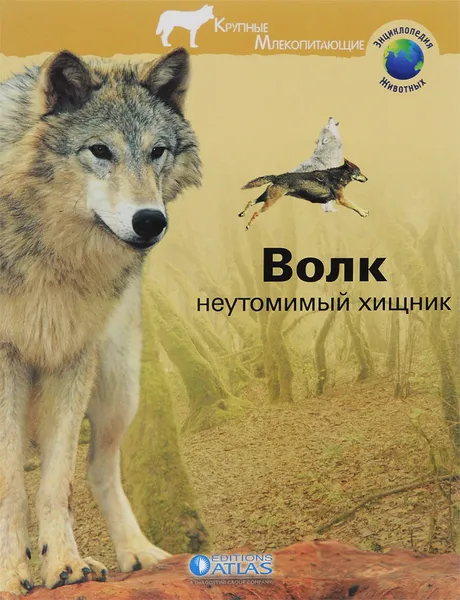 Обложка книги Волк - неутомимый хищник, Анна Руайе