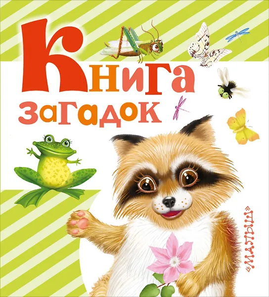 Обложка книги Книга загадок, В. Г. Дмитриева
