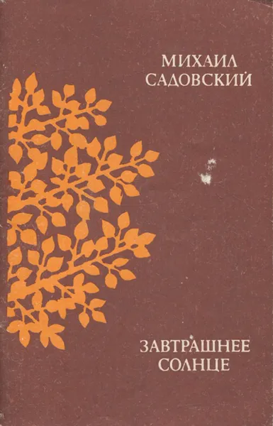 Обложка книги Завтрашнее солнце, Михаил Садовский