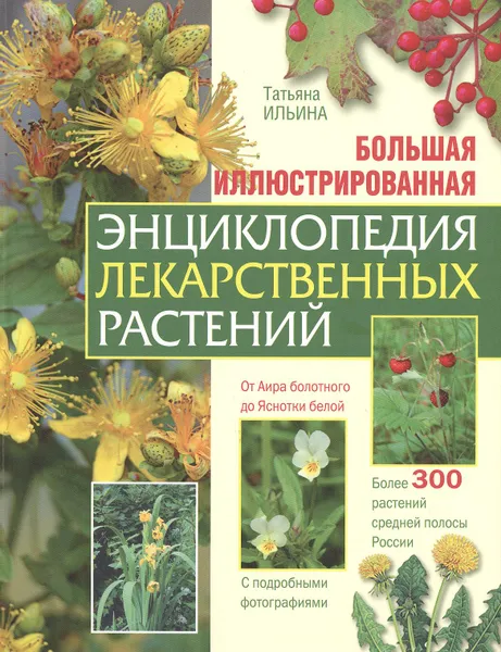 Обложка книги Большая иллюстрированная энциклопедия лекарственных растений, Т. А. Ильина