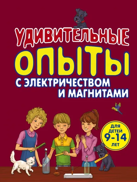 Обложка книги Удивительные опыты с электричеством и магнитами, Проневский Артем Георгиевич