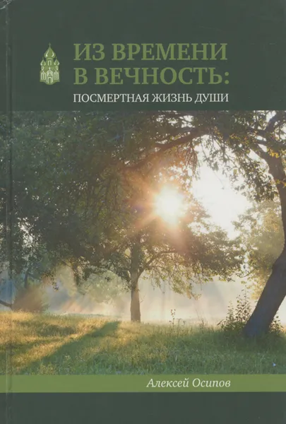 Обложка книги Из времени в вечность. Посмертная жизнь души, Осипов Алексей Ильич