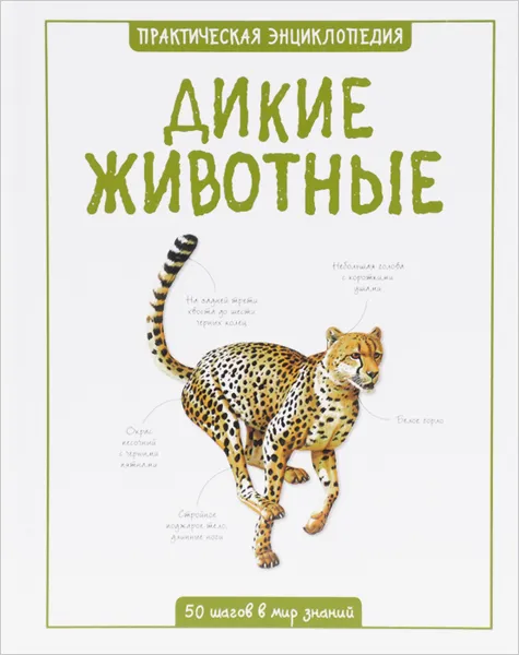 Обложка книги Дикие животные, Морган Салли