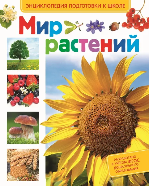 Обложка книги Мир растений, Л. А. Иванова