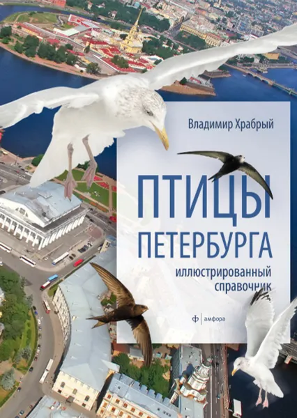 Обложка книги Птицы Петербурга, Владимир Храбрый
