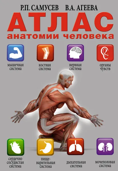 Обложка книги Атлас анатомии человека, Р. П. Самусев, В. А. Агеева