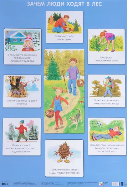 Обложка книги Зачем люди ходят в лес. Плакат, С. Н. Николаева