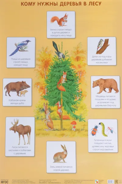 Обложка книги Кому нужны деревья в лесу. Плакат, С. Н. Николаева