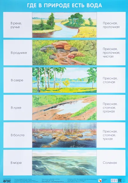 Обложка книги Где в природе есть вода. Плакат, С. Н. Николаева