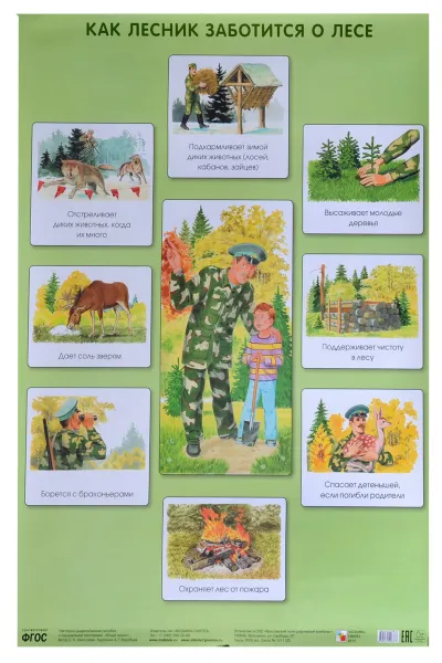 Обложка книги Как лесник заботится о лесе. Плакат, С. Н. Николаева