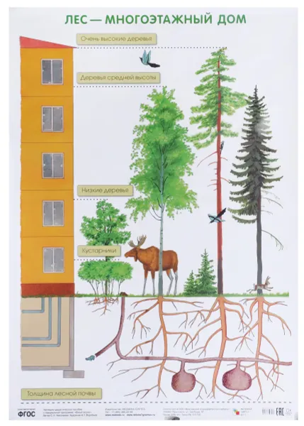 Обложка книги Лес - многоэтажный дом. Плакат, С. Н. Николаева