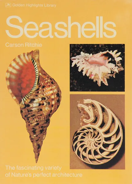 Обложка книги Seashells, Ritchie Carson