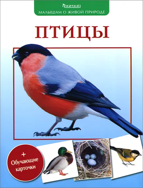 Обложка книги Птицы, В. А. Вишневский