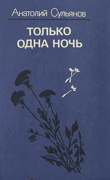 Обложка книги Только одна ночь, Сульянов Анатолий Константинович