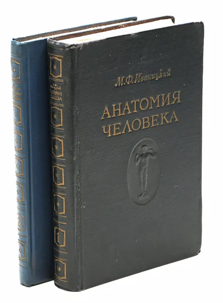 Обложка книги Анатомия человека (комплект из 2 книг), Иваницкий М. Ф.