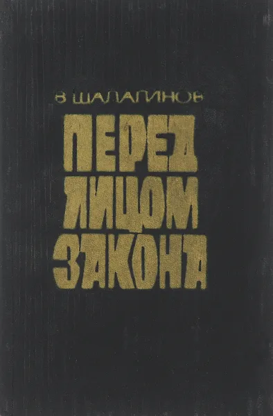 Обложка книги Перед лицом закона, В. Шалагинов