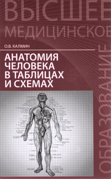 Обложка книги Анатомия человека в таблицах и схемах. Учебное пособие, О. В. Калмин