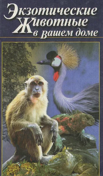 Обложка книги Экзотические животные в вашем доме, И. В. Резько