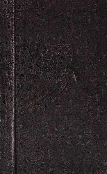 Обложка книги Шота Нишнианидзе. Избранное, Шота Нишнианидзе