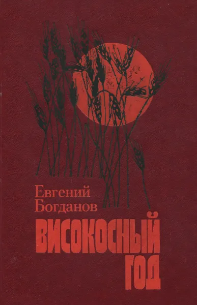 Обложка книги Високосный год, Евгений Богданов