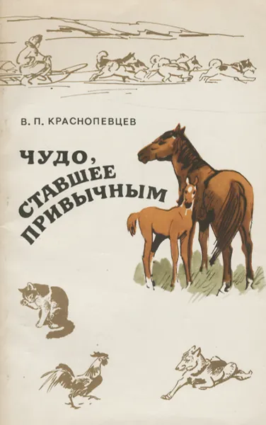 Обложка книги Чудо, ставшее привычным, В. П. Краснопевцев