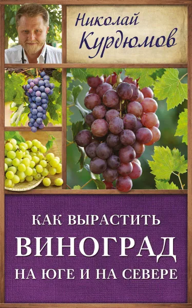 Обложка книги Как вырастить виноград на Юге и на Севере, Николай Курдюмов