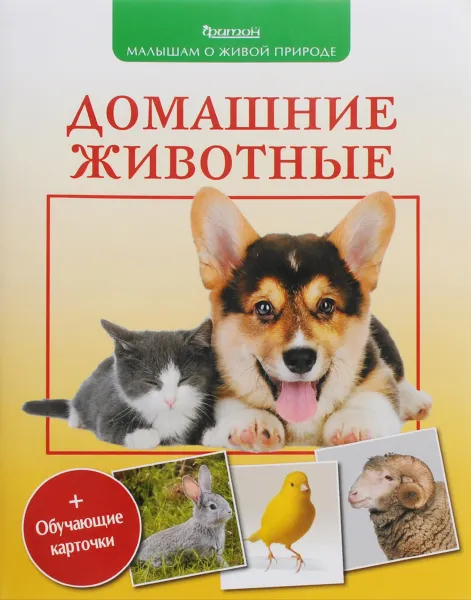 Обложка книги Домашние животные (+ обучающие карточки), П. М. Волцит