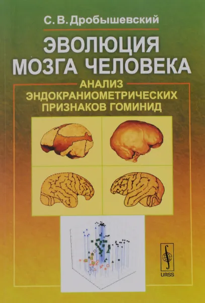 Обложка книги Эволюция мозга человека. Анализ эндокраниометрических признаков гоминид, С. В. Дробышевский