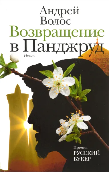 Обложка книги Возвращение в Панджруд, Волос Андрей Германович