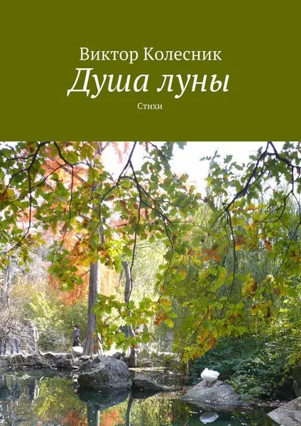 Обложка книги Душа луны, Колесник Виктор