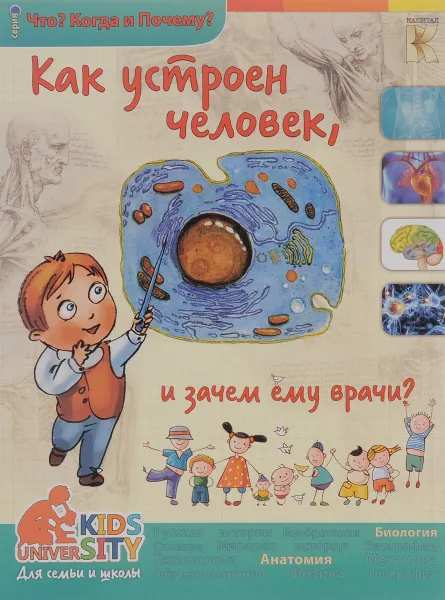 Обложка книги Как устроен человек и зачем ему врачи, О. В. Соколова