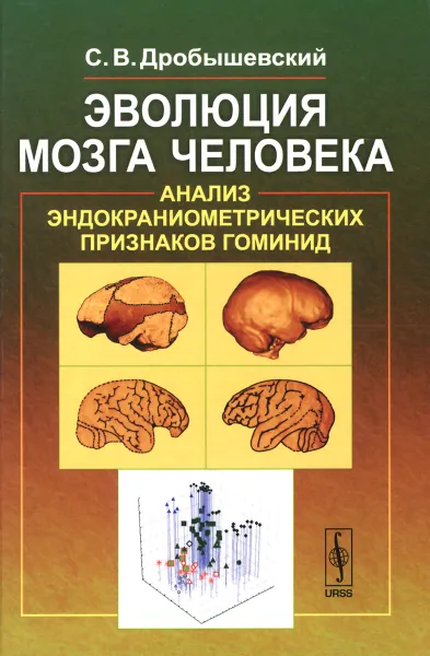 Обложка книги Эволюция мозга человека. Анализ эндокраниометрических признаков гоминид, С. В. Дробышевский