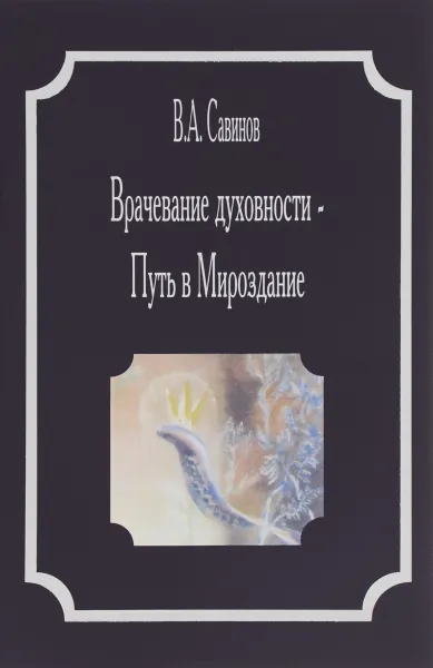 Обложка книги Врачевание духовности - Путь в Мироздание, В. А. Савинов