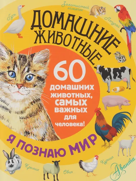 Обложка книги Домашние животные. 60 домашних животных самых важных для человека!, Е. Ю. Снегирёва