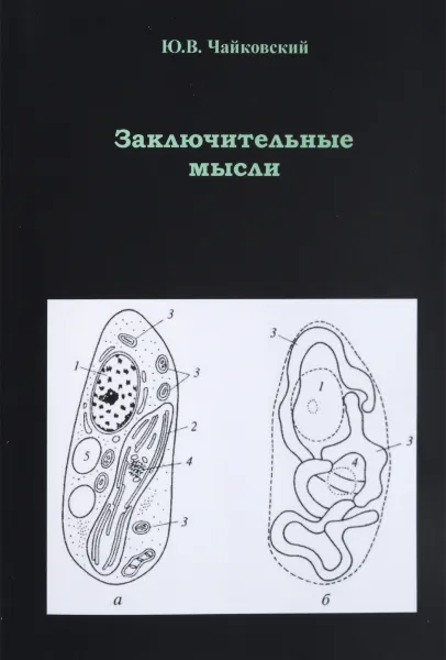 Обложка книги Заключительные мысли, Ю. В. Чайковский