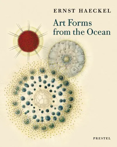 Обложка книги Art Forms From The Ocean, Breidbach