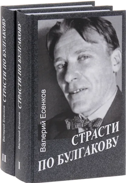 Обложка книги Страсти по Булгакову. В 2 томах (комплект из 2 книг), Валерий Есенков