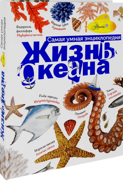 Обложка книги Жизнь океана, А. В. Тихонов