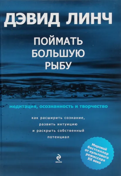 Обложка книги Поймать большую рыбу. Медитация, осознанность и творчество, Дэвид Линч