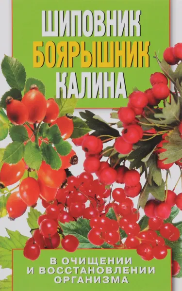 Обложка книги Шиповник, боярышник, калина в очищении и восстановлении организма, А. В. Нестерова