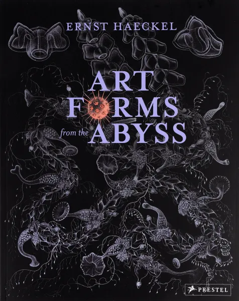 Обложка книги Art Forms from the Abyss, Peter J. le B. Williams, Dylan W. Evans, David J. Roberts, David N. Thomas